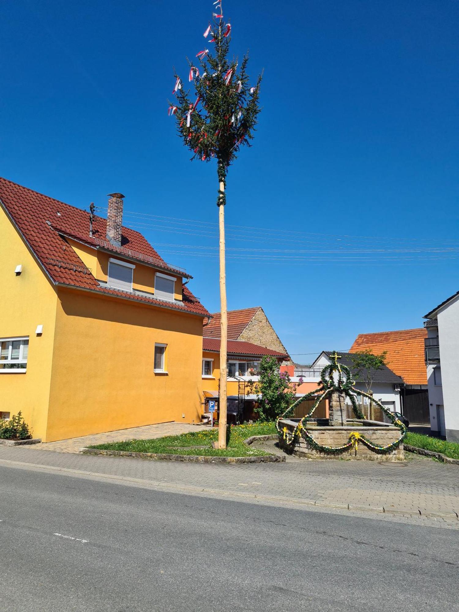 Ferienwohnung Pflueger Mit Terrasse Lauda-Koenigshofen Exterior photo